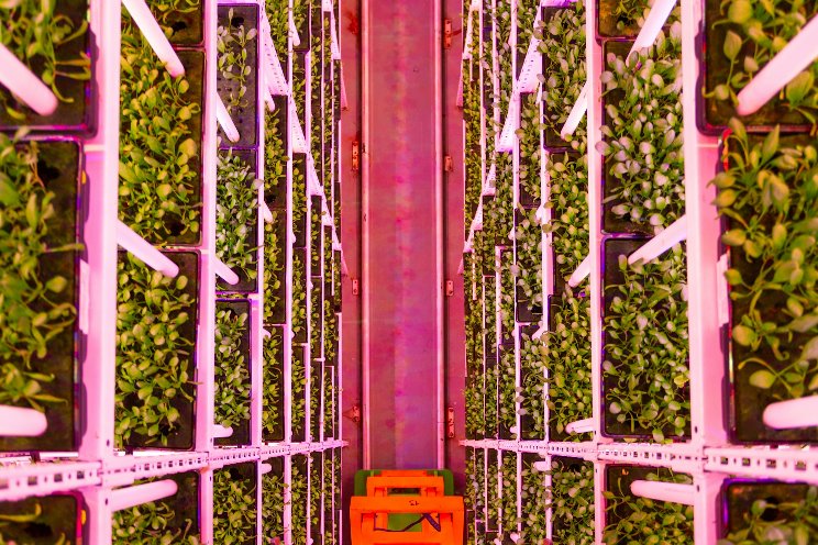 Vertical farming is a sustainable method