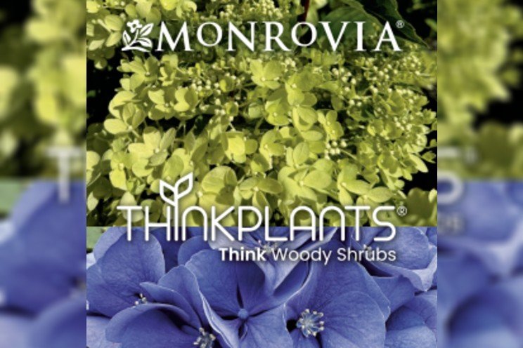 ThinkPlantsannounces new shrub program