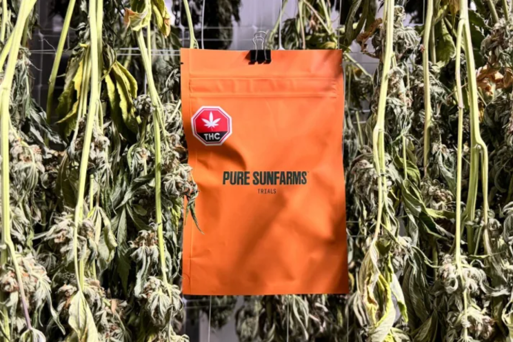 Pure Sunfarms launches grower-led 'Trials' program