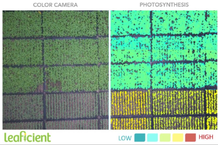 Sollum and Leaficient introduce the first plant-responsive dynamic LED