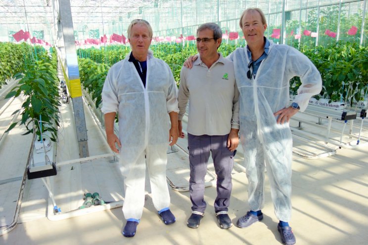 Rijk Zwaan continues to grow in Turkey and the Middle East