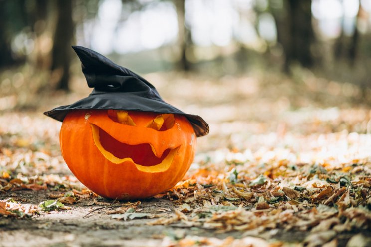 How to make your pumpkins last this Halloween