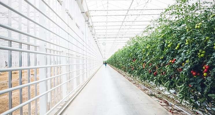 $55M investment in new greenhouse complex