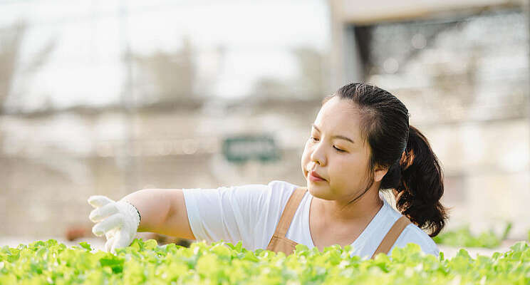 First-ever resilient harvests conference coming in November