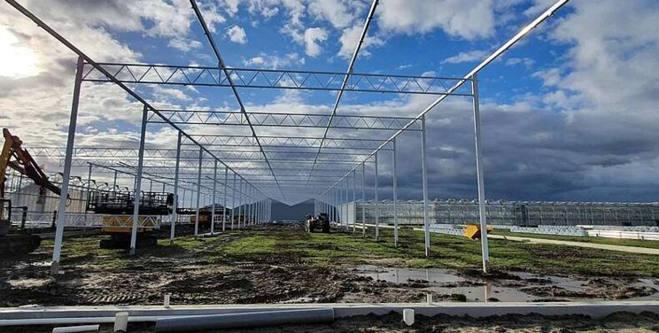 Beekenkamp Group started phase 3 of greenhouse 