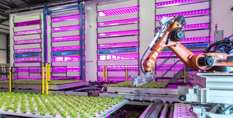 PlantLab's patent for indoor farming reaffirmed