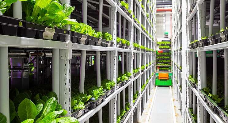 Innovation Agri-Tech launches new vertical farming technology