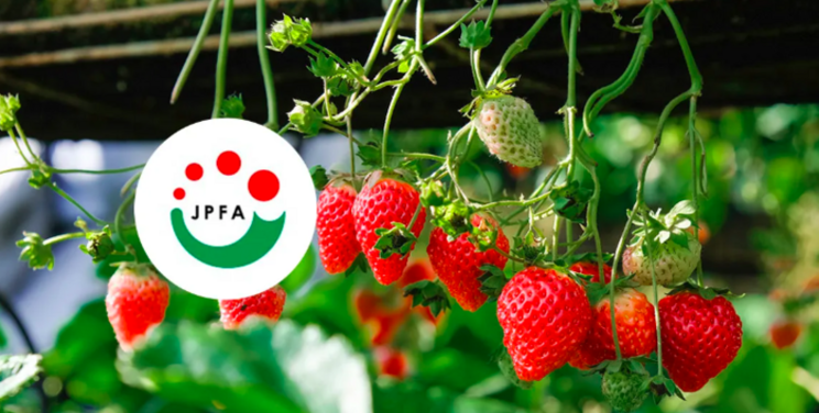 Japan Plant Factory Association holds strawberry course