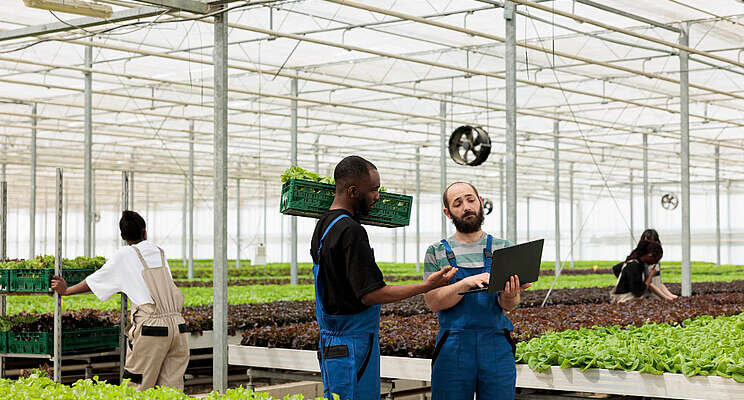 How data automation can reduce grower labor concerns