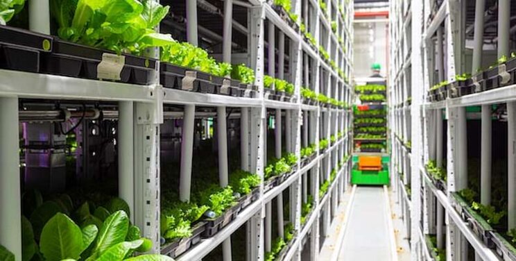 US Under Secretary to address Vertical Farming World Congress