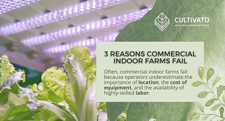 3 reasons why commercial indoor farms fail