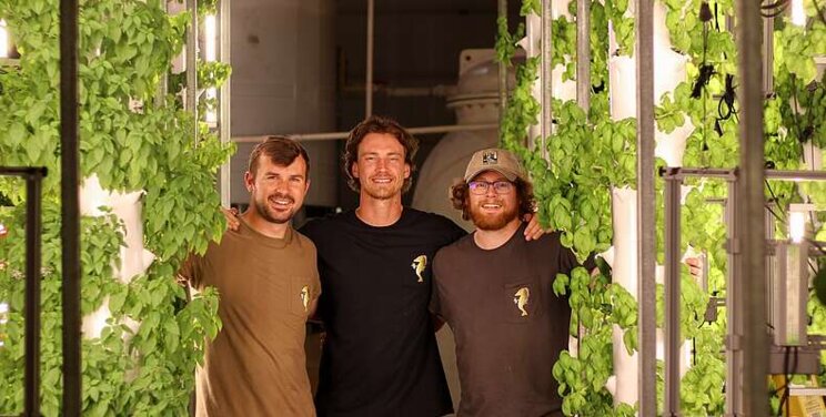 When aquaponics meet hydroponics