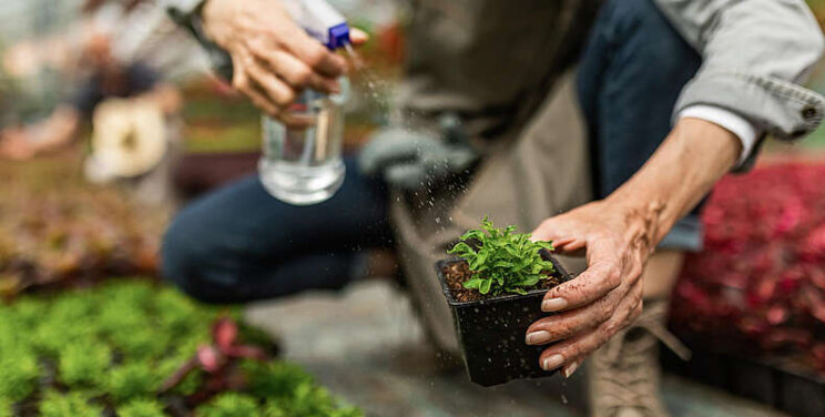 95% greenhouse crops were biologically controlled