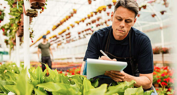 A roadmap for improving efficiencies at your greenhouse