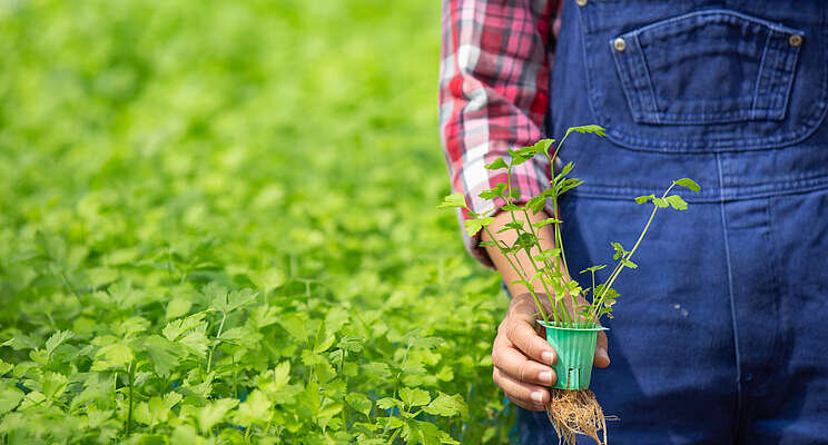 Scotland grants 200m to 150 agriculture projects