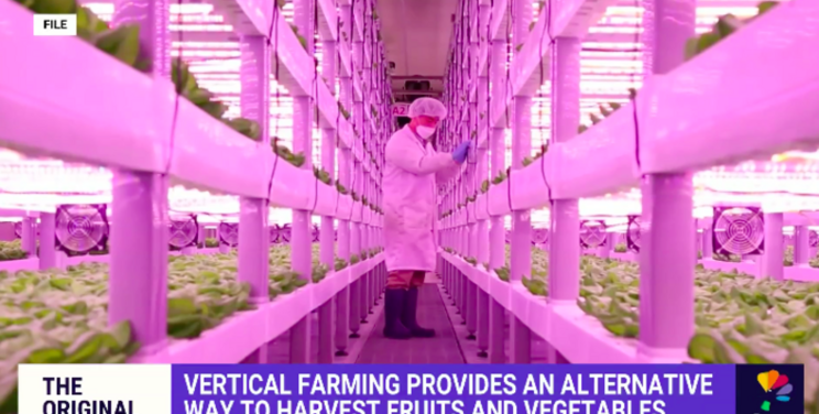 Vertical farming provides alternative way to grow produce