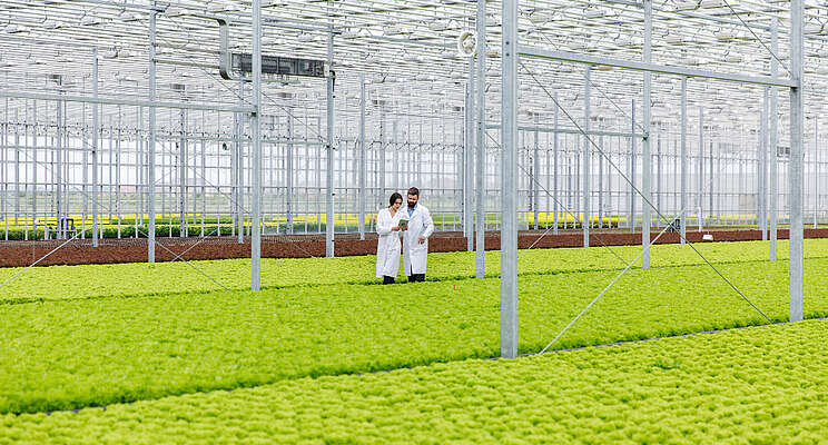 Kaufland opens sustainable greenhouse