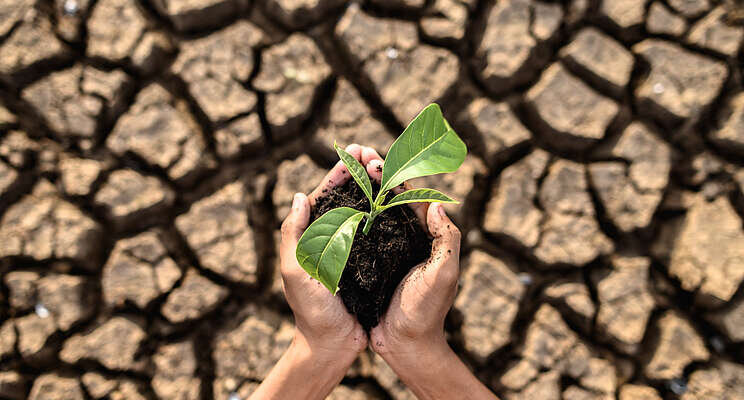 How can urban agriculture mitigate climate change