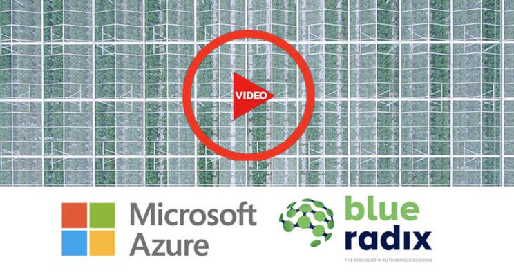 Microsoft promotes collaboration Blue Radix in international video