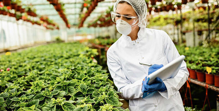 Top strategies to succeed with growers' ERP implementations