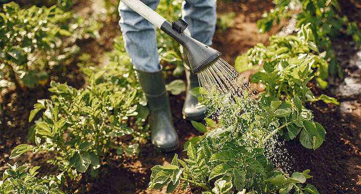 Backyard business farm thrives on less than one acre