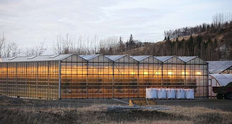 Greenhouses revolutionize farming at what cost?