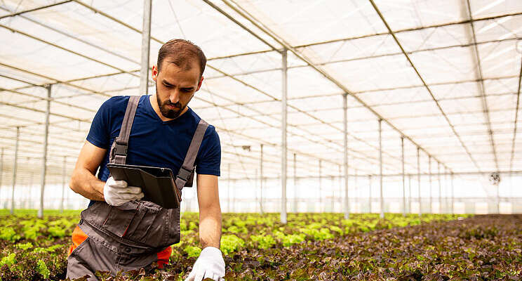 Why urban farms and indoor planting are the future?