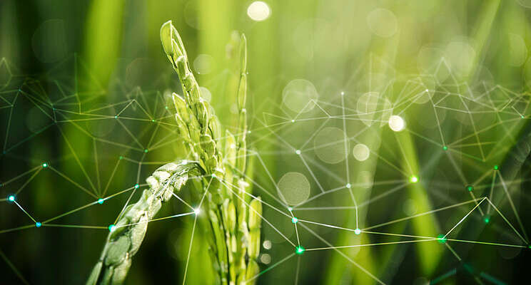 MMW launches new global ag tech initiative