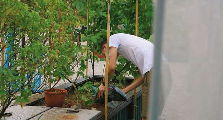 Bringing food production back to cities 