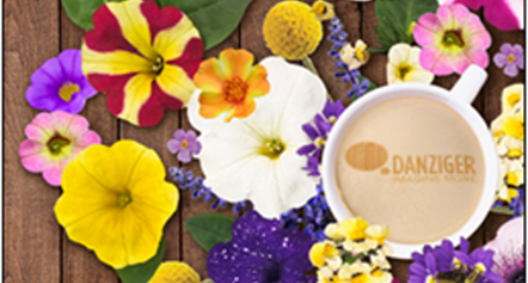 Perk up your Cultivate experience with Danziger