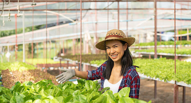 Keeping food safety paramount in leafy greens