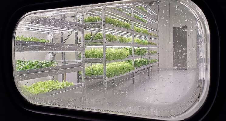 Vertical farms: A rising form of agriculture