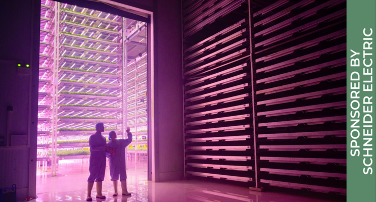 Indoor ag has an energy problem. Could microgrids be the solution?