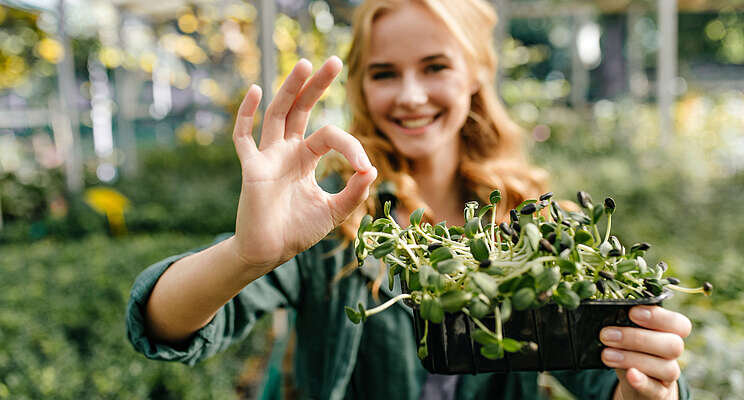 Optimizing your greenhouse for biostimulant efficiency