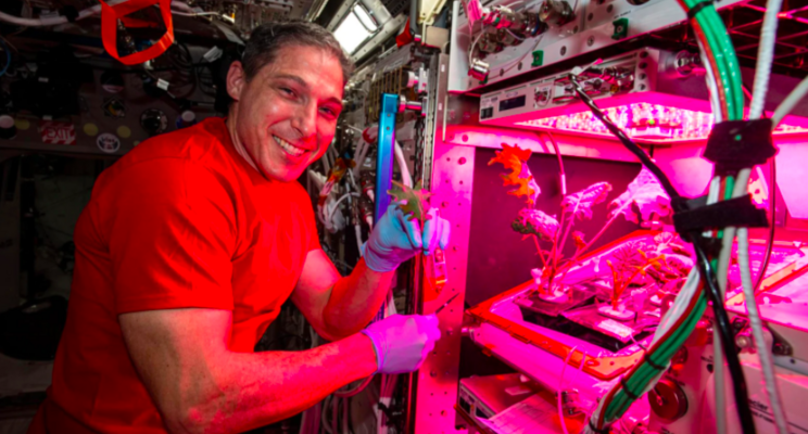 How NASA is feeding astronauts using VegBed grow mats?