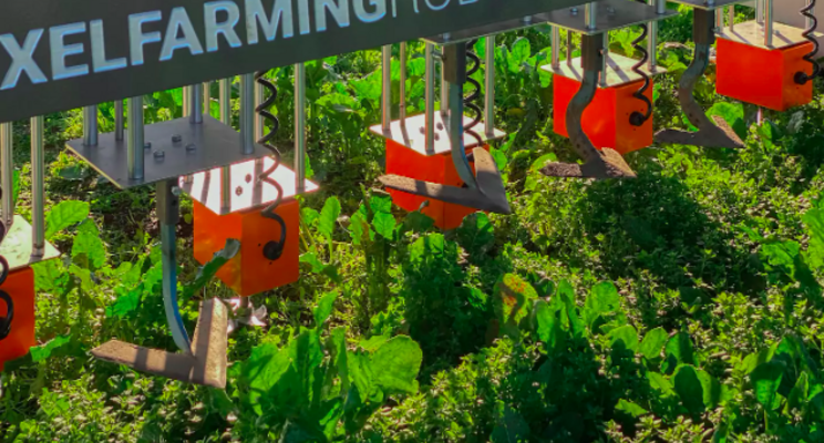 Autonomous agricultural robots revolutionize organic farming