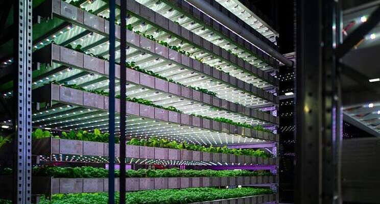 Vertical farm developers seal deal on Suffolk site