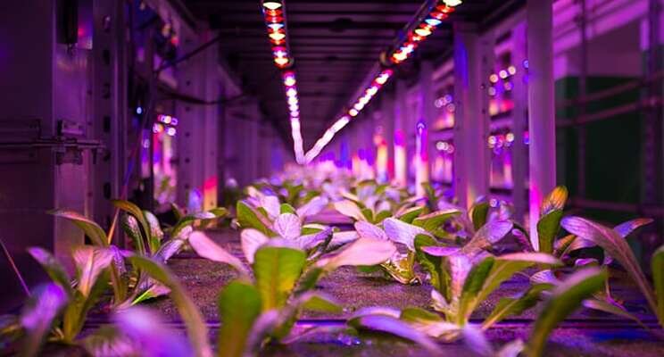 Glens Falls Notes Pt 2: Reducing a vertical farm's expenses