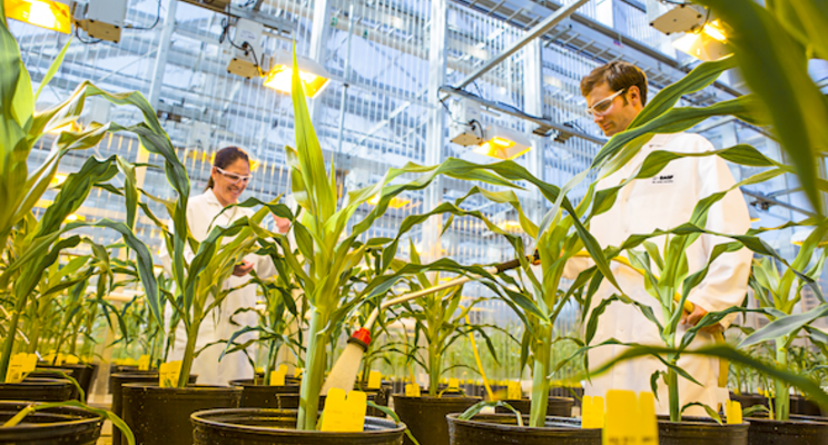 New molecular lab boosts crop research capabilities