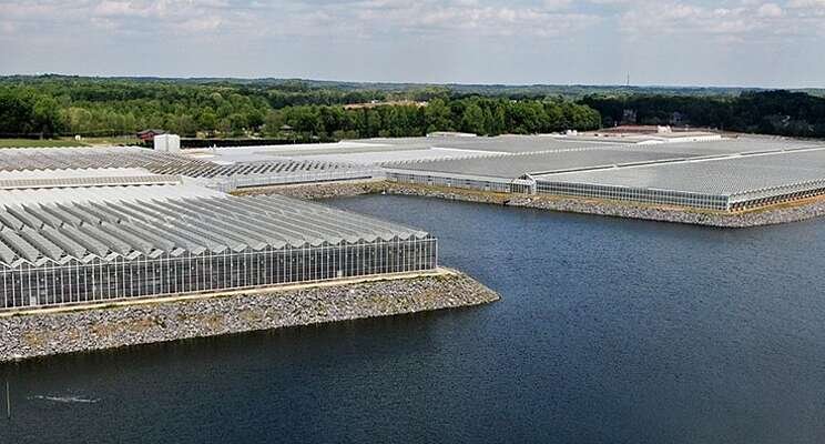 Metrolina Greenhouses celebrates 50 years in business