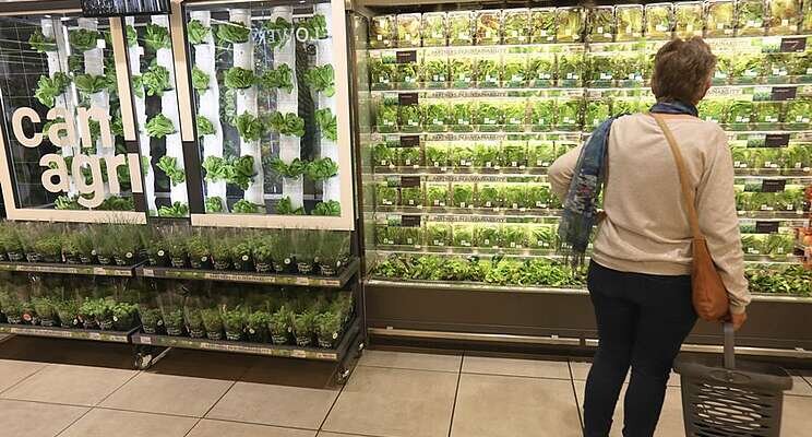 First in-store vertical farm launched