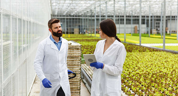 Shading to manage spring greenhouse heat