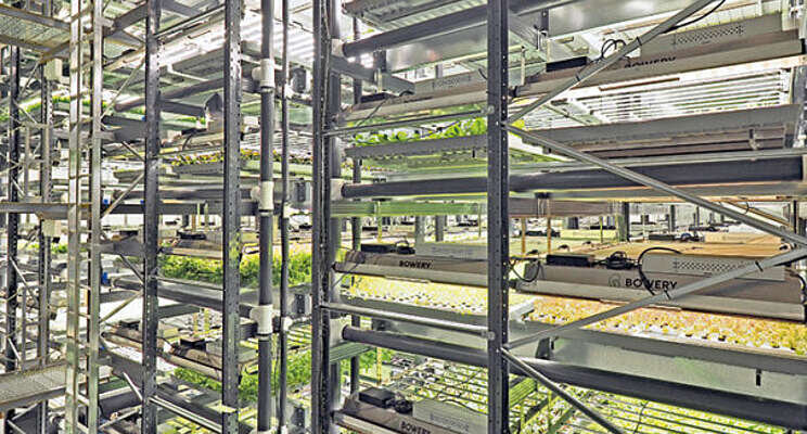 Vertical farming grows up