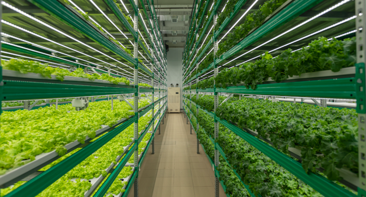 Vertical farming demand to rise substantially in future