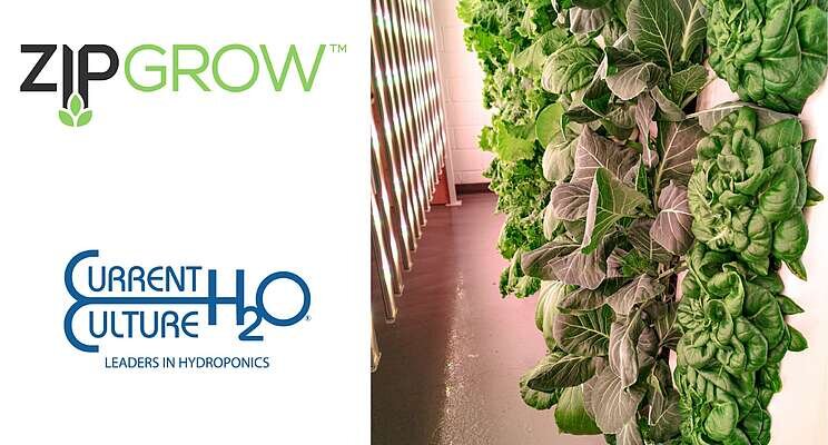 ZipGrow Inc. partners with CCH20 