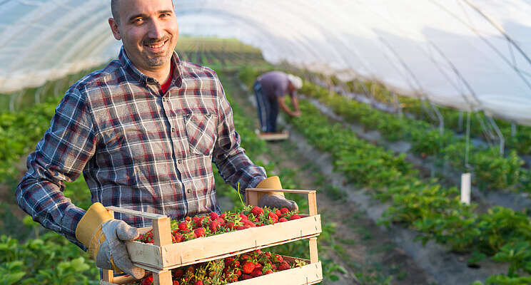 Canadian organic industry gets a boost