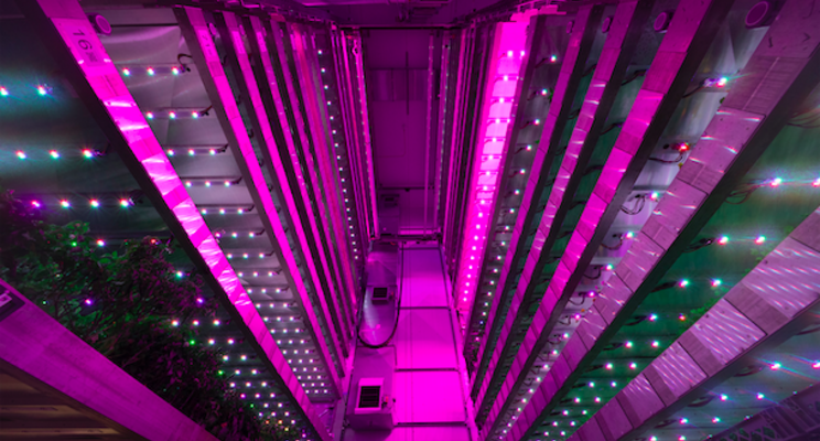 Enhancing plant growth using LED light