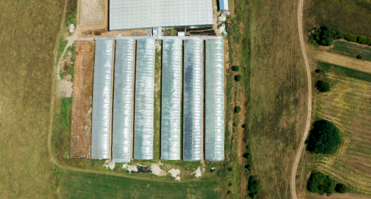 Turkey's most modern greenhouse completed