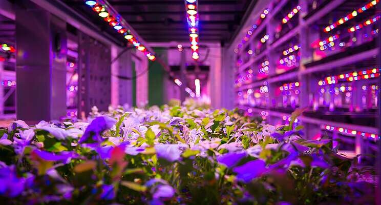 Indoor vertical farm expanding to Muncie