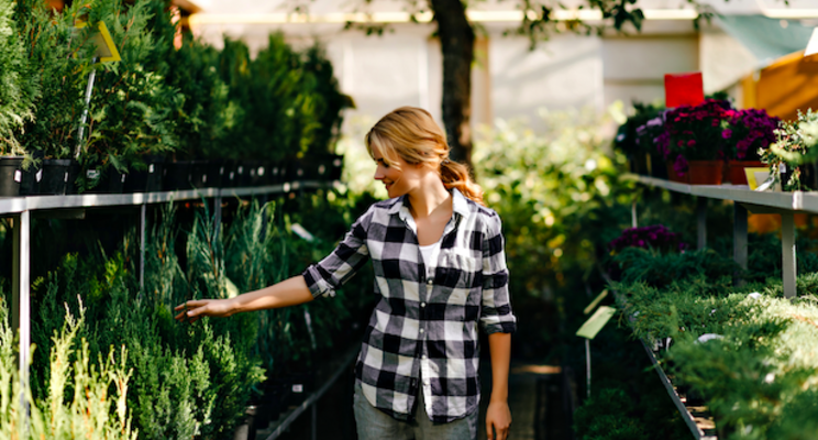 Greenhouse shelving to optimize growing space